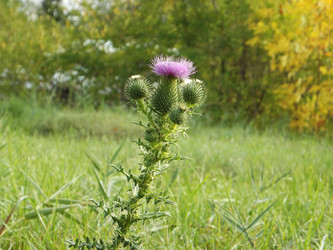 Similar image 21080809