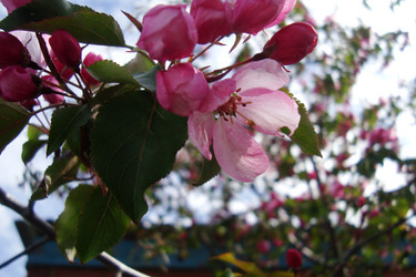 Similar image 21113747