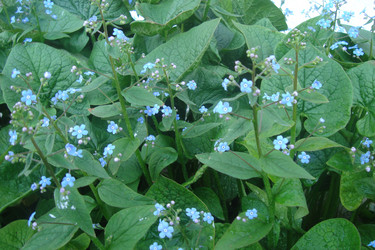 Similar image 21104529