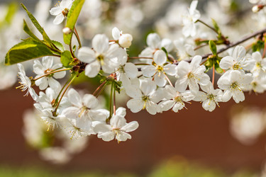 Similar image 21125193