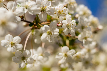 Similar image 21125194