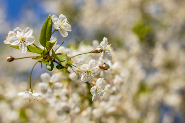 Similar image 21125195