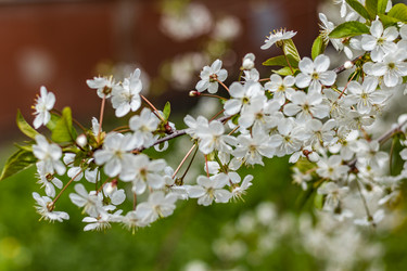 Similar image 21125196