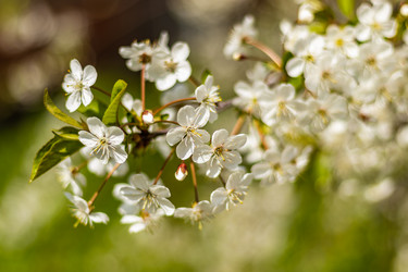 Similar image 21125197