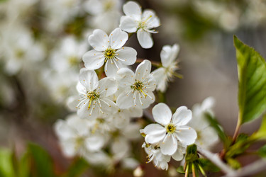 Similar image 21125199