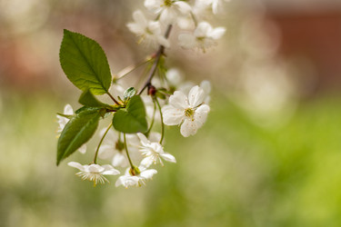 Similar image 21125200