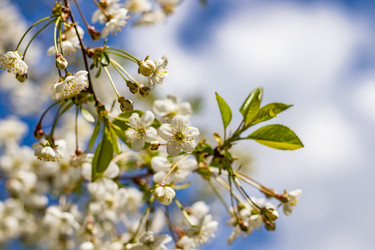 Similar image 21125201