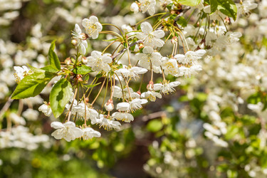 Similar image 21125203