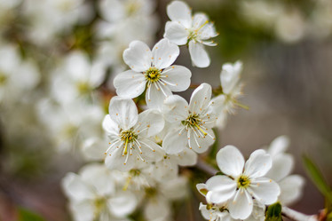 Similar image 21125204