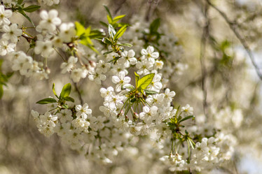 Similar image 21125205