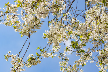 Similar image 21125206