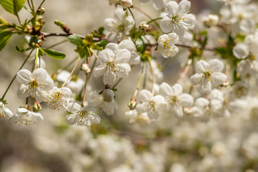 Similar image 21125208