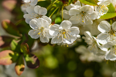 Similar image 21125209