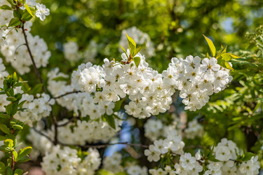 Similar image 21125210