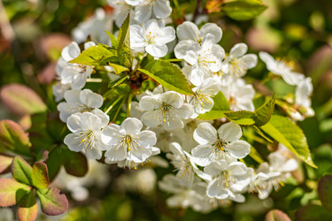 Similar image 21125211