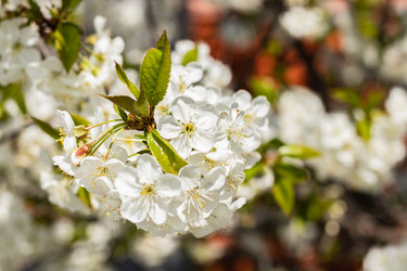 Similar image 21125212