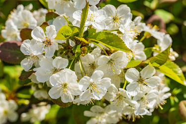 Similar image 21125213