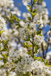 Similar image 21125214