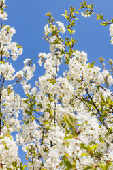 Similar image 21125215