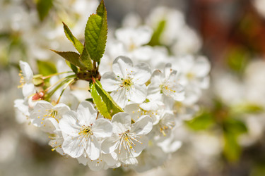 Similar image 21125216