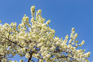 Similar image 21125218