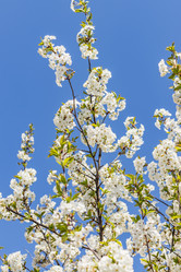 Similar image 21125220