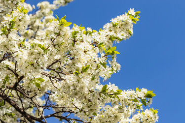 Similar image 21125221