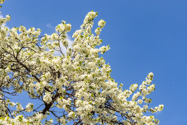 Similar image 21125222