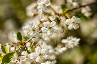 Similar image 21125223