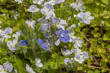 Similar image 21125224