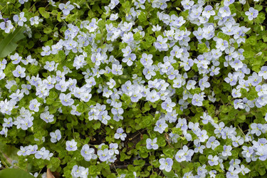 Similar image 21125225