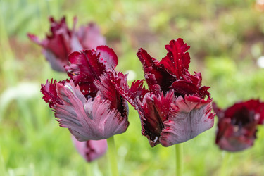 Similar image 21125226