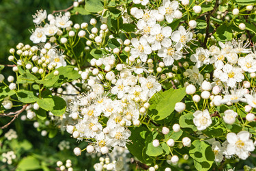 Similar image 21125228