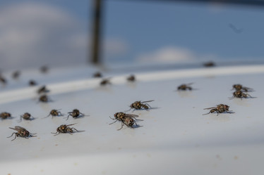 Similar image 21125229