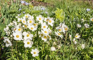 Similar image 21125230