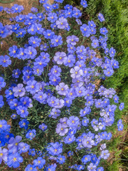 Similar image 21125231