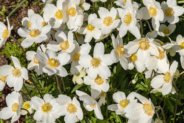 Similar image 21125232