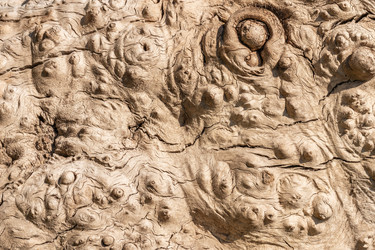 Similar image 21127866