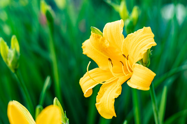 Similar image 21127867