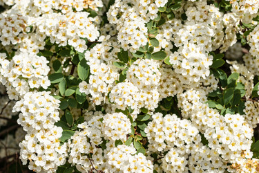 Similar image 21127868