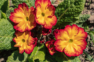 Similar image 21127869