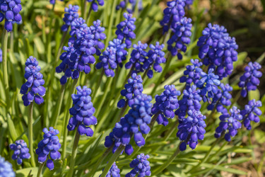 Similar image 21127870