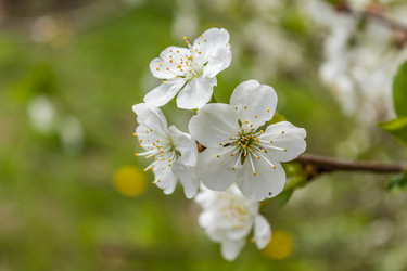 Similar image 21127871