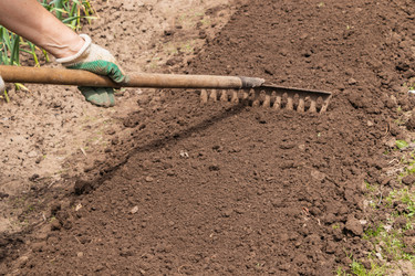 Similar image 21127872