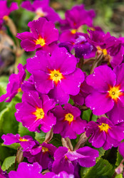 Similar image 21127873