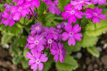 Similar image 21127874