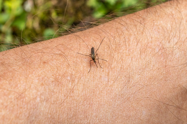 Similar image 21127876