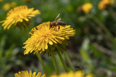 Similar image 21127923