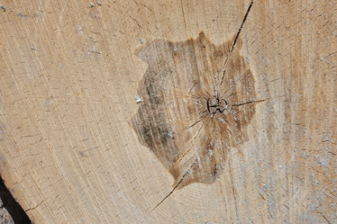 Similar image 21110589