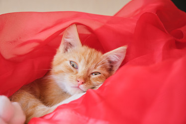 Similar image 21110593